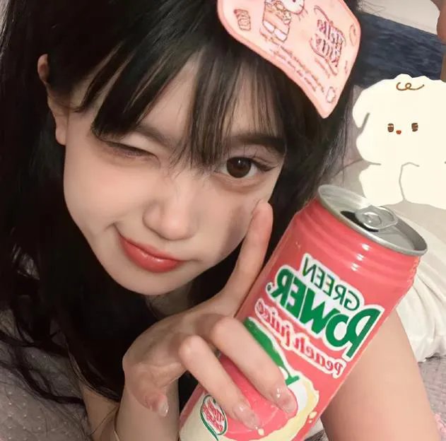 菜鸟先生